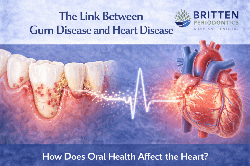 Link Between Gum Disease and Heart Disease Explained - Britten Perio