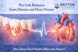 Illustration showing the link between gum disease and heart disease, highlighting inflammation in the gums connected to cardiovascular health.